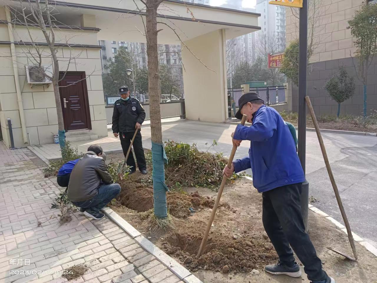宅男视频在线观看免费（shēng）物業----綠化服務
